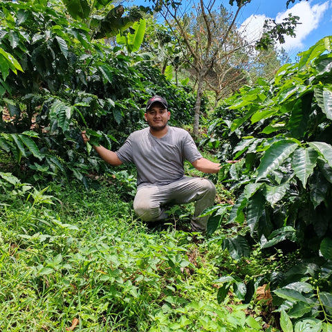 Honduras, Danilo Sanchez