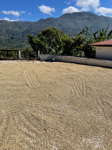 Guatemala, Benito Perez Pablo