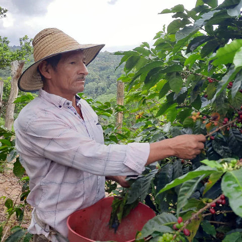 Colombia, ACC Por La Paz